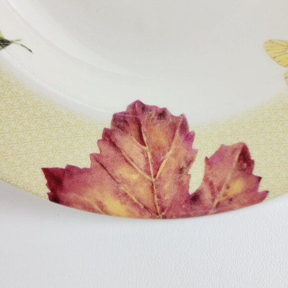 Spode Fruit Haven Rim Soup Bowl Butterfly Bee Fruit & Leaves, Fall Autumn Dishes - Picture 8 of 15